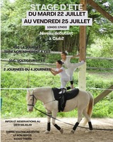 Stage juillet 2025