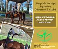 Stages Février 2025